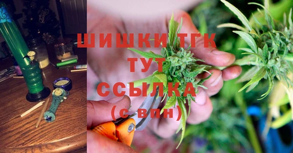 спиды Арсеньев
