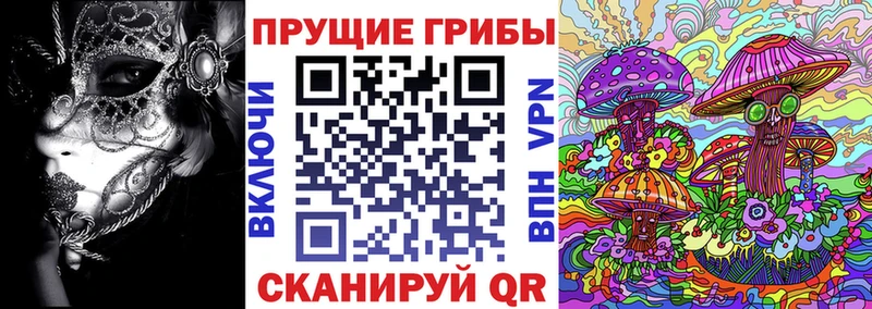 omg зеркало цены наркотик Островной Галлюциногенные грибы мицелий